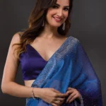 Ombre Navy Blue Stonework Satin Designer Saree